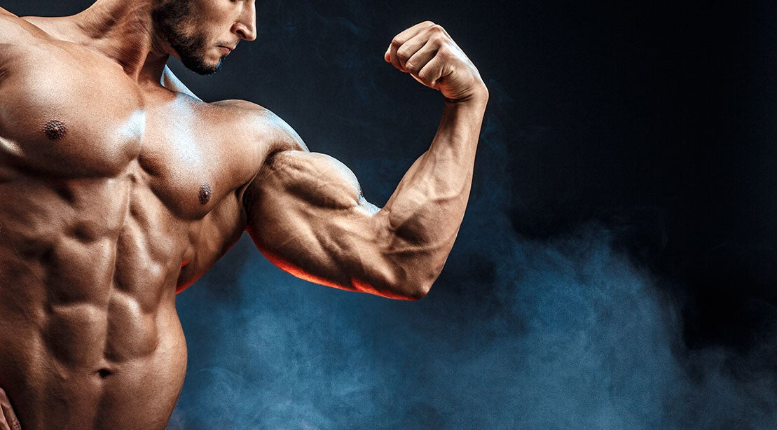 Arms Focus Muscle Plan
