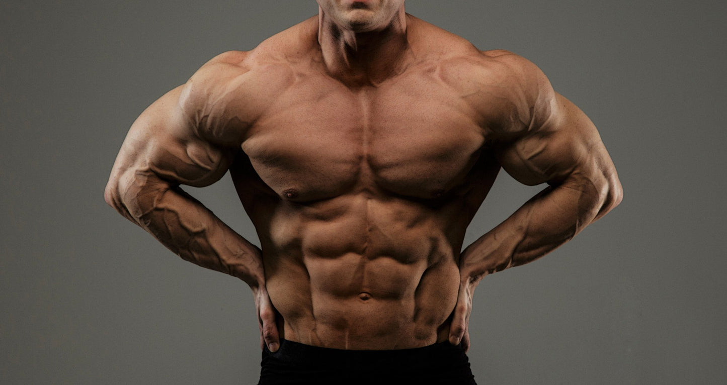 Full Body Muscle Plan