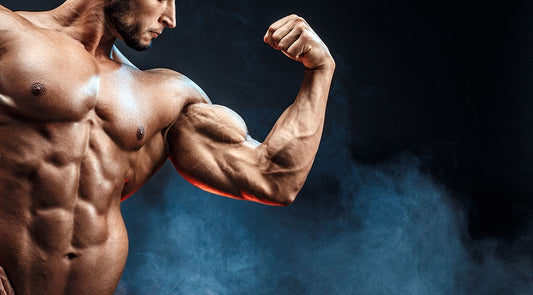 Arms Focus Muscle Plan