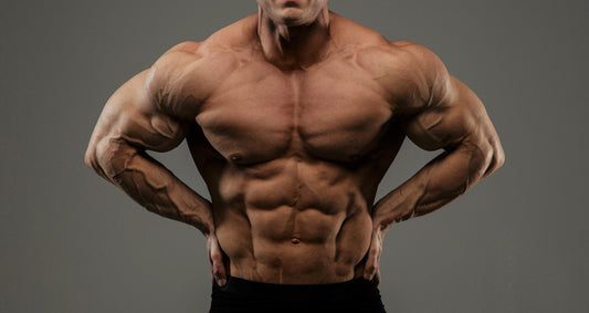 Full Body Muscle Plan